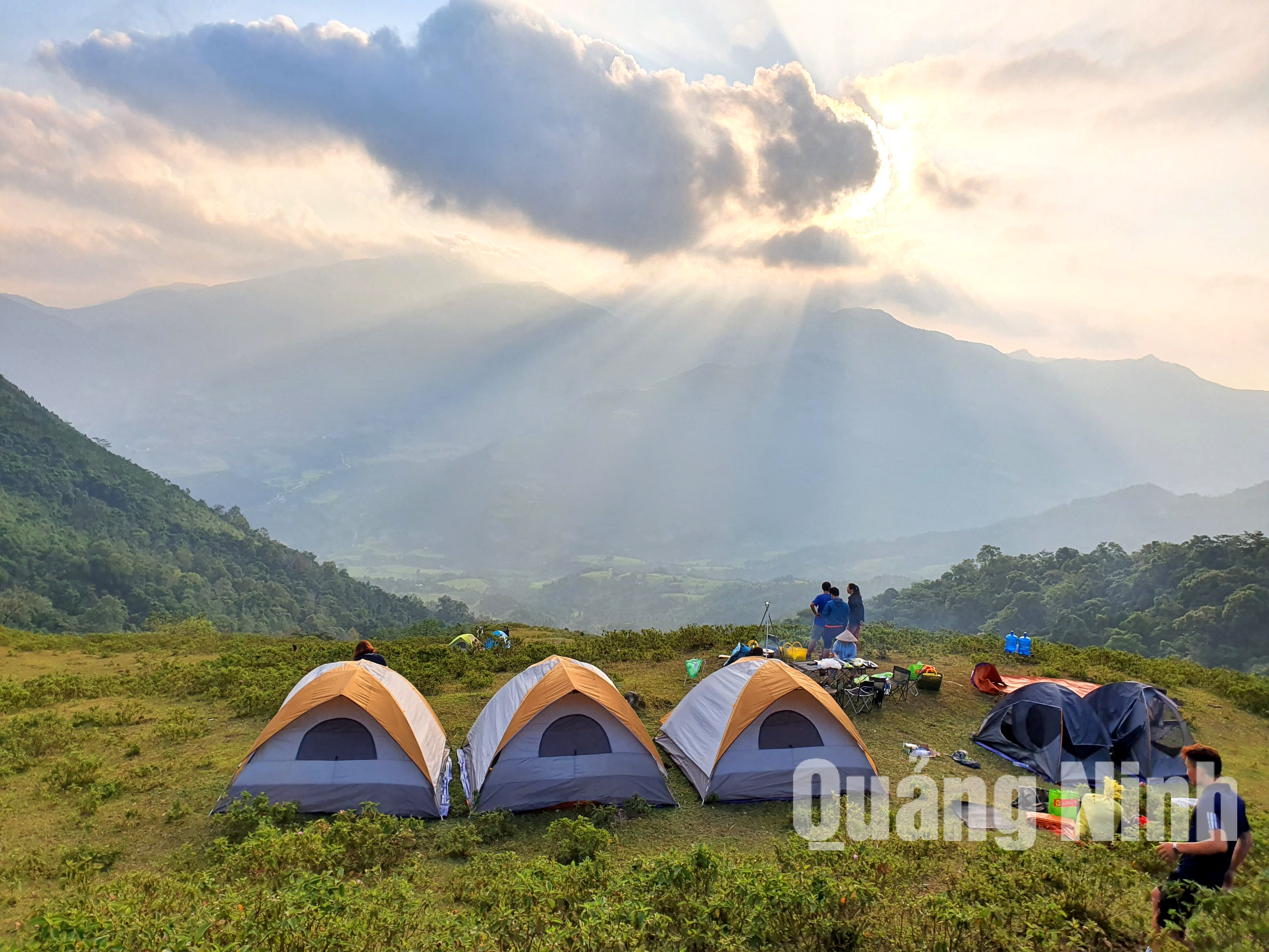 Cao Ly rất thích hợp cho những cuộc cắm trại (8-2020). Ảnh: La Lành (Trung tâm TT & VH Bình Liêu)