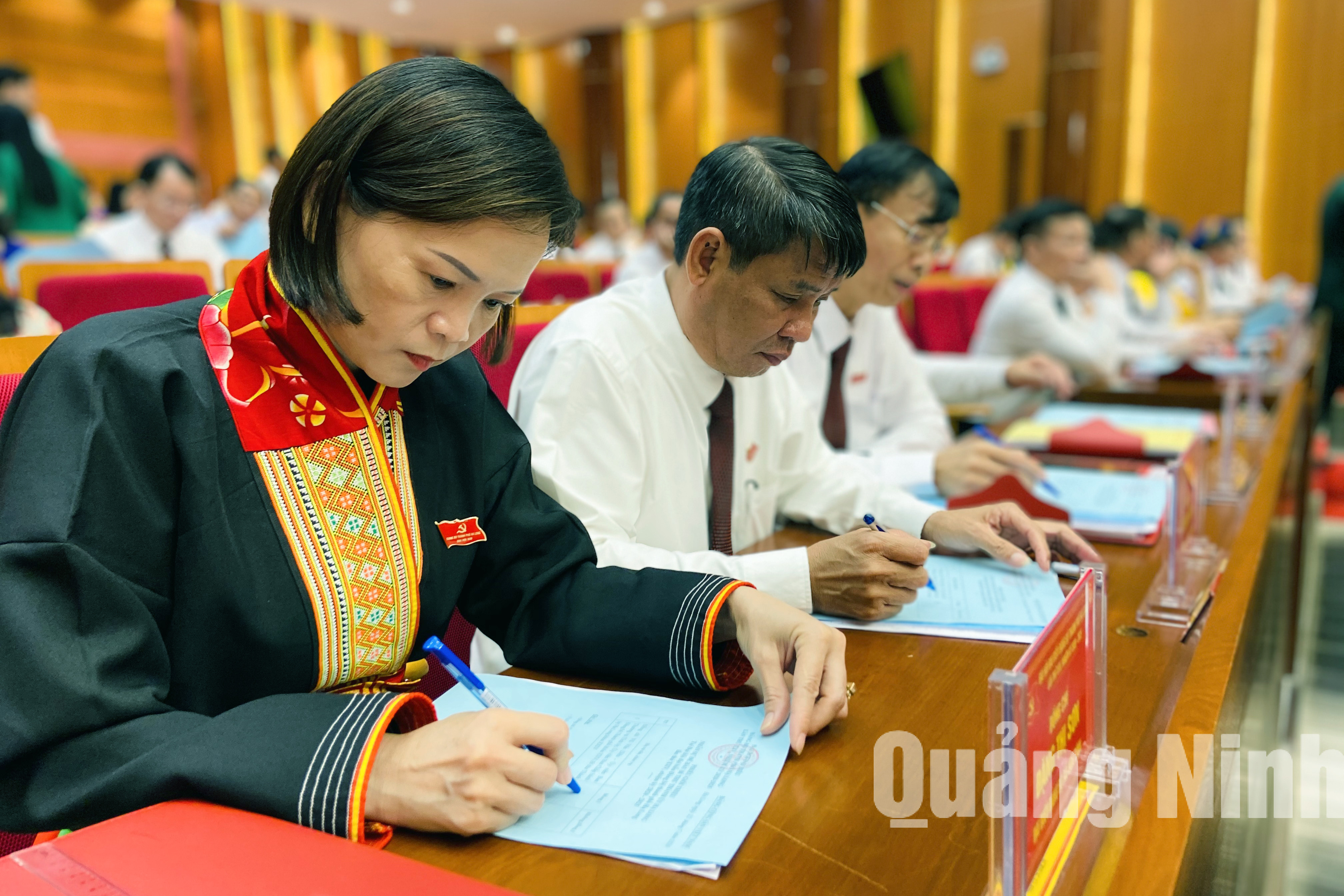 Các đại biểu phát huy vai trò của đảng viên trong việc lựa chọn nhân sự (7-2020). Ảnh: Thu Chung