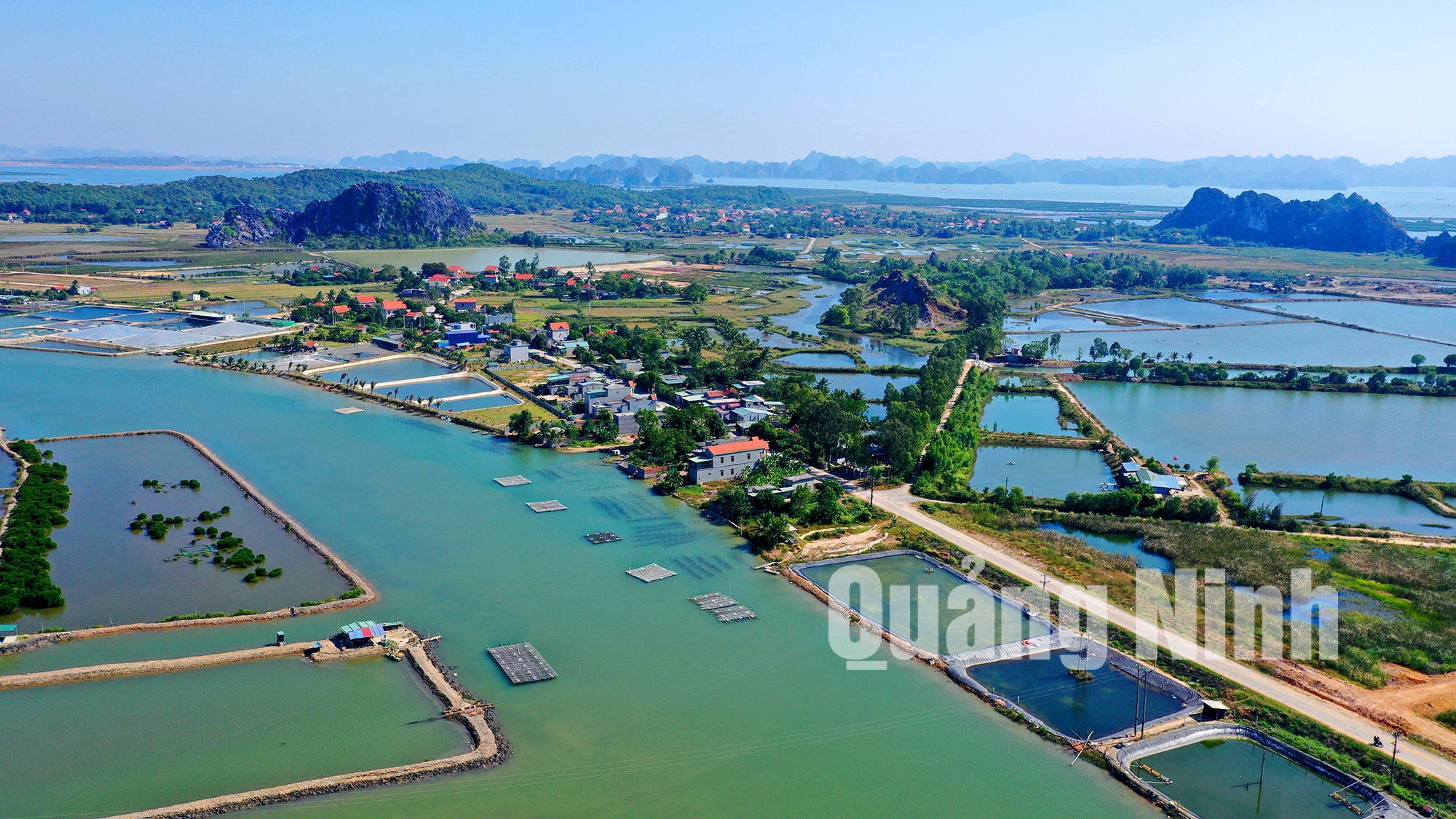 Xã Hoàng Tân (TX Quảng Yên) nằm giữa 2 lạch biển là Bến Giang và Bình Hương, một mặt giáp với Vịnh Hạ Long (12-2019). Ảnh: Hùng Sơn
