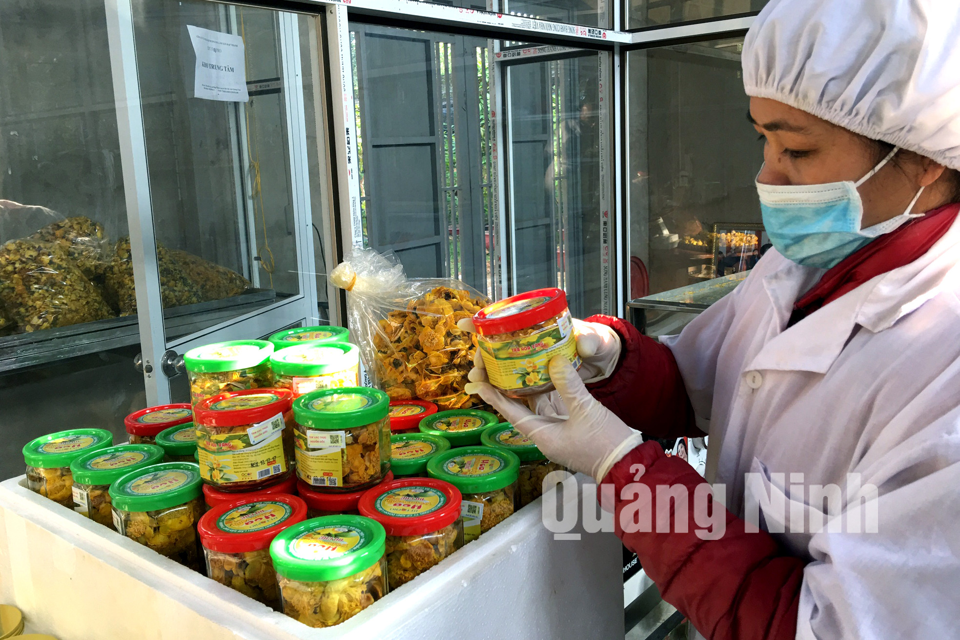 Kiểm tra sản phẩm Trà hoa vàng trước khi đem đi tiêu thụ (2-2018). Ảnh: Khánh Giang