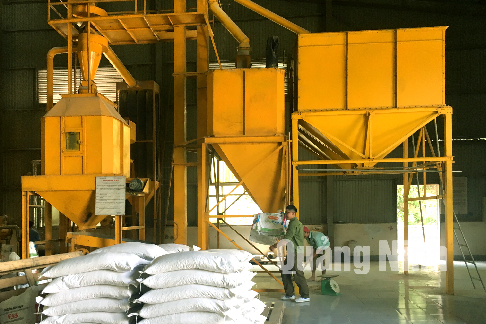 Dây chuyền sản xuất thức ăn gia súc chất lượng cao của Công ty CP Khai thác khoáng sản Thiên Thuận Tường (3-2018). Ảnh: Cao Quỳnh