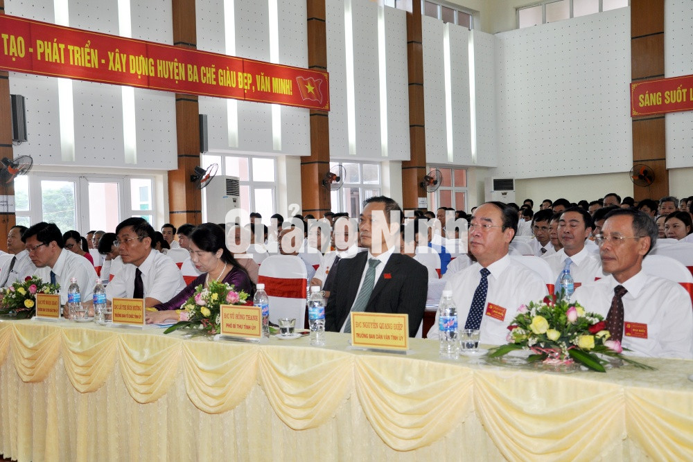 Dự Đại hội có đồng chí Vũ Hồng Thanh, Phó Bí thư Tỉnh ủy; các đồng chí trong Ban Thường vụ Tỉnh ủy, lãnh đạo các ban ngành, địa phương của tỉnh.