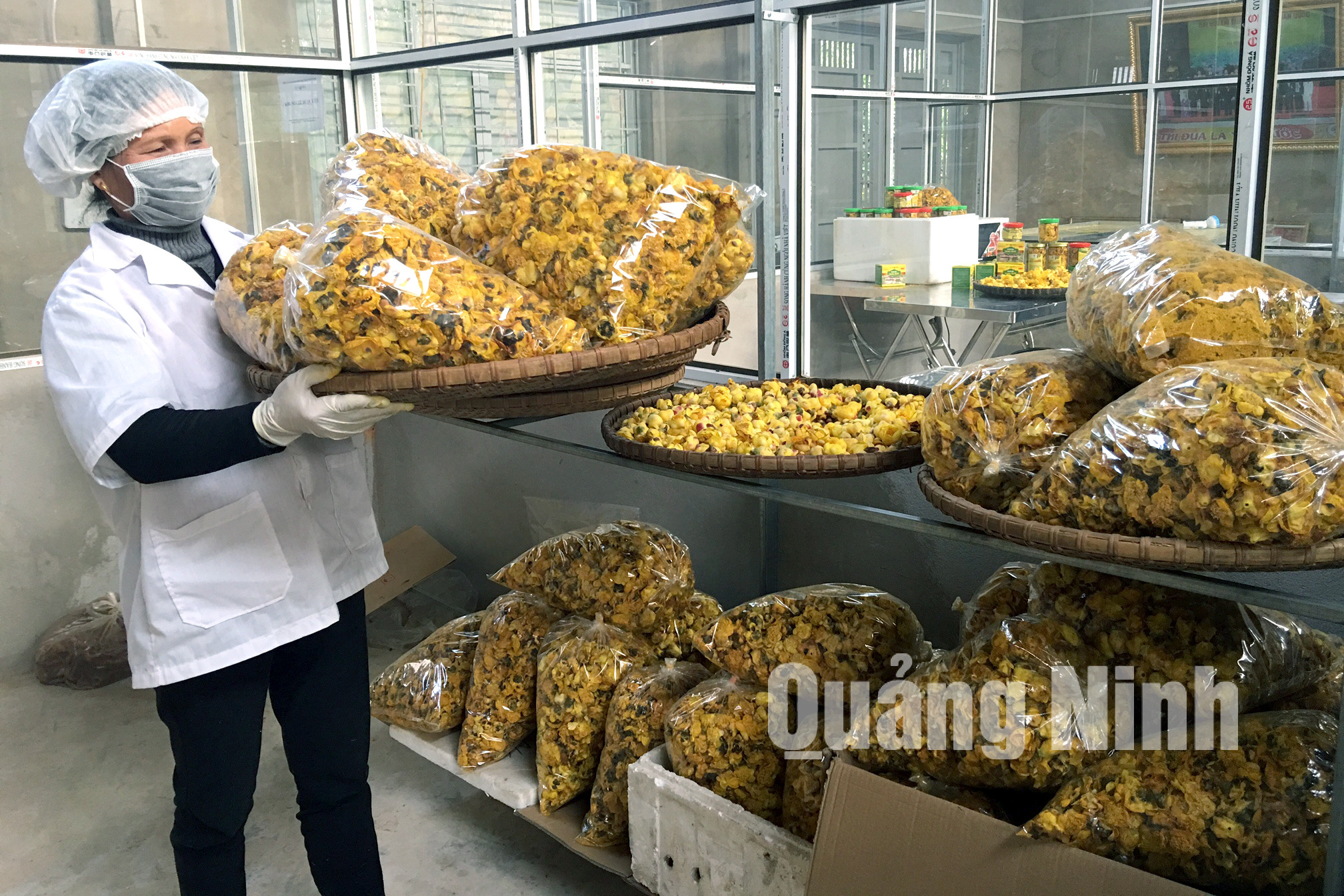Trà hoa vàng sau khi được sấy khô và bảo quản (2-2018). Ảnh: Khánh Giang