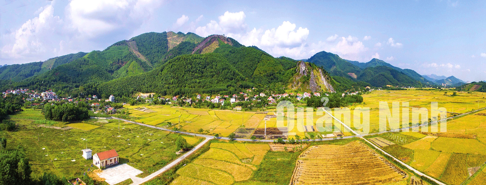 Khu cánh đồng sản xuất tập trung nông thôn mới xã Quảng La (7-2019). Ảnh: Khánh Giang