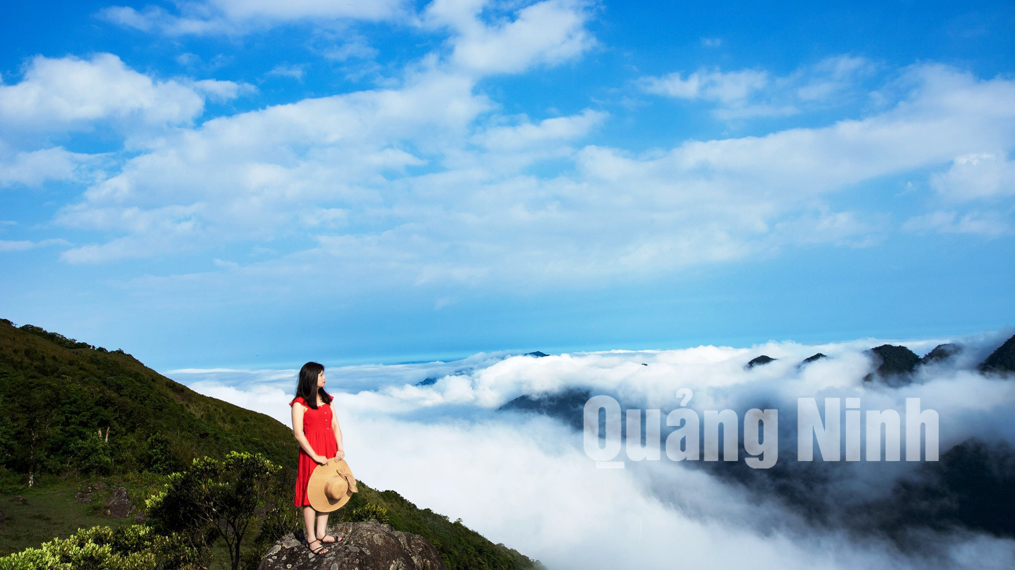 Thoả thích ngắm biển mây trên đỉnh Cao Ly (8-2020). Ảnh: La Lành (Trung tâm TT & VH Bình Liêu)