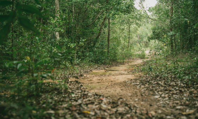 Phu Quoc National Park A Hidden Gem For Trekking Enthusiasts Quang