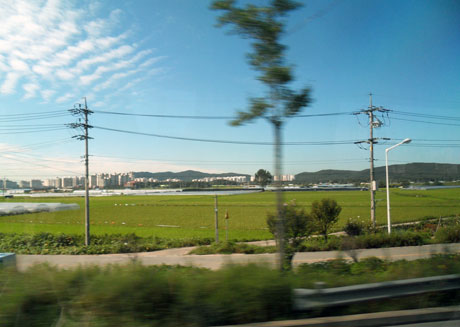 Nông thôn Hàn Quốc nhìn từ xa.