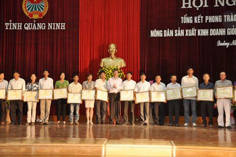 Đồng chí Nguyễn Văn Đọc, Chủ tịch UBND tỉnh trao bằng khen của UBND tỉnh cho 