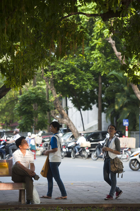 Nhiều người dân thích thú ngắm hoa lộc vừng.
