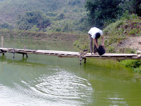 Nhiều hộ dân xã Hải Sơn (TP Móng Cái) đã biết tận dụng mặt nước để nuôi cá nước ngọt.