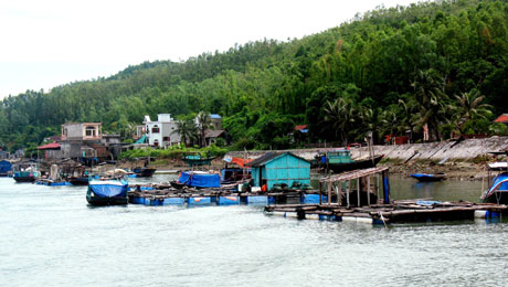 Các nhà bè nuôi trồng hải sản trên xã đảo Ngọc Vừng (Vân Đồn).