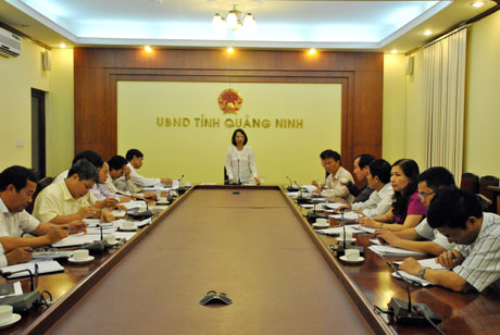 Đồng chí Vũ Thị Thu Thuỷ, Phó Chủ tịch UBND tỉnh chủ trì cuộc họp.