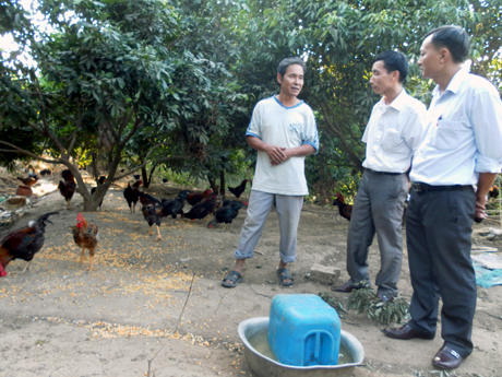 Ông Nguyễn Thế Cường, thôn Chợ, xã Thống Nhất, huyện Hoành Bồ giới thiệu với cán bộ huyện về trang trại chăn nuôi gà của gia đình.