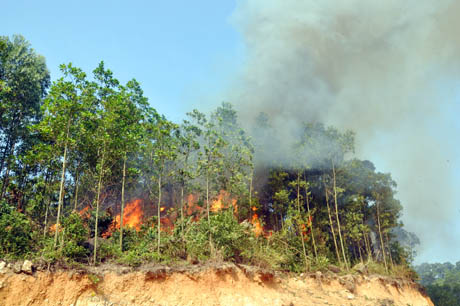 Hiện trường đám cháy được giả định tại lô 1, khoảnh 8, tiểu khu 96A, phường Đại Yên, TP Hạ Long