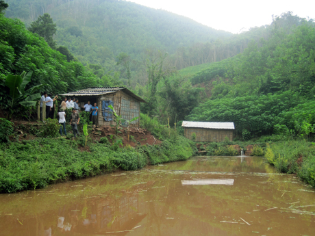 Mô hình trồng rừng kết hợp với ao nuôi cá ở xã Hà Lâu (Tiên Yên).