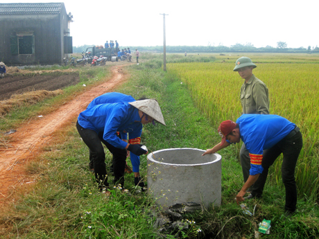 ĐVTN xã An Sinh (Đông Triều) tham gia xây dựng những bể chứa vỏ bao bì thuốc bảo vệ thực vật trên đồng ruộng.