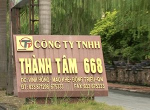 Công ty TNHH Thành Tâm 668 : Đặt nền móng từ sản phẩm nghề truyền thống