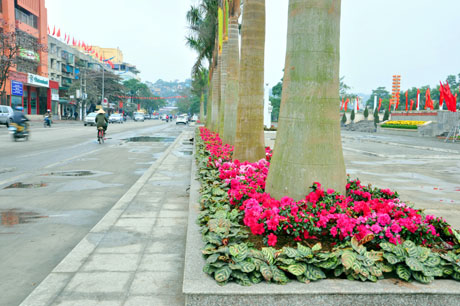 Hoa được trồng mới tại khu vực Đài tượng niệm.