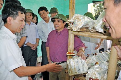 Cán bộ xã Thanh Lâm (Ba Chẽ) giới thiệu với các đồng chí lãnh đạo tỉnh mô hình trồng nấm linh chi ở địa phương.