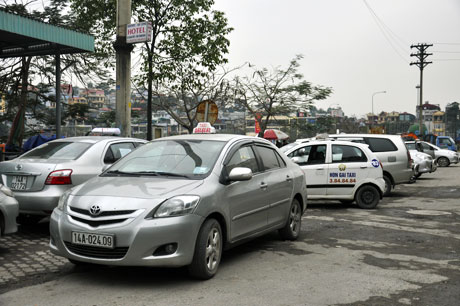 Xe taxi xếp hàng la liệt ở các góc phố tại TP Hạ Long. (Ảnh chụp tại khu vực cầu Kênh Liêm).