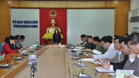 Đồng chí Vũ Thị Thu Thủy, Phó Chủ tịch UBND tỉnh phát biểu kết luận cuộc họp.