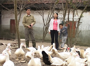 Tiên Yên: Hiệu quả đào tạo nghề cho lao động nông thôn