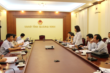 Đồng chí Vũ Thị Thu Thủy, Phó Chủ tịch UBND tỉnh phát biểu tại buổi làm việc 