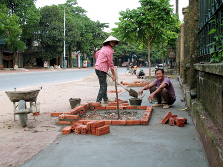 Xây kè trồng cây cho đường phố thị trấn Quảng Hà.