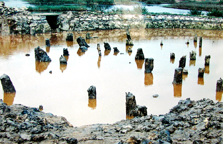 Di tích bãi cọc Bạch Đằng trong quần thể cụm di tích chiến thắng Bạch Đằng năm 1288. Ảnh: NGÔ ĐÌNH DŨNG