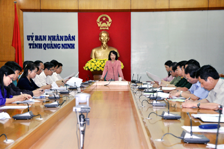 Đồng chí Vũ Thị Thu Thủy, Phó Chủ tịch UBND tỉnh phát biểu tại cuộc họp.