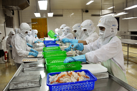 Việc tiếp cận nguồn vốn vay phát triển sản xuất với các doanh nghiệp nhỏ và vừa hiện rất khó khăn (Ảnh: Sơ chế tôm tại Công ty chế biến thủy sản Phú Minh Hưng - Quảng Yên).