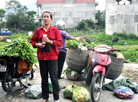 Ra đến chợ đầu mối Quảng Yên thấy rất nhiều bà con trong xã đã mang rau ra đang ngồi đợi thương lái đến thu mua.