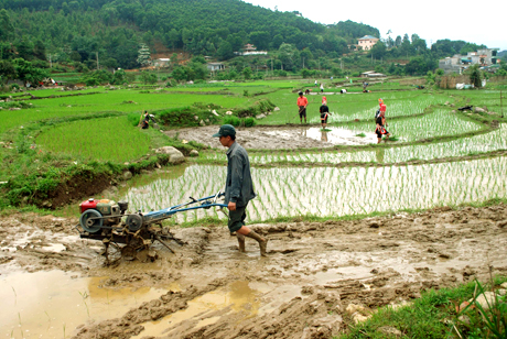Hơn 100 hộ dân ở Đồng Văn đã mua được máy cày để cơ giới hoá trong khâu làm đất.