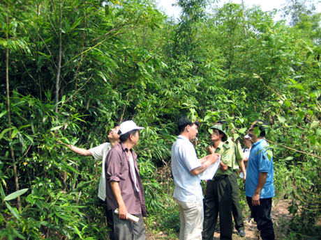 Lực lượng chức năng kiểm tra công tác bảo vệ rừng.