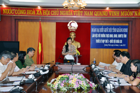 Đồng chí Đỗ Thị Hoàng, Phó Bí thư Thường trực Tỉnh ủy, Trưởng Đoàn QBQH tỉnh Quảng Ninh khóa XIII kết luận tại cuộc họp.