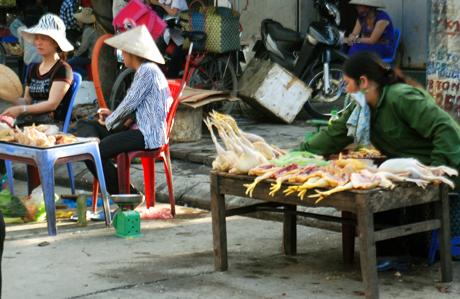 Mặc cho đường phố  bụi bặm, xe cộ qua lại, thức ăn vô tư bày bán bên đường phố Tô Hiến Thành, phường Trần Hưng Đạo