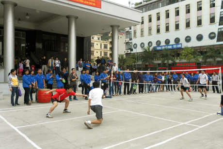 Cụm đoàn số 3 (Đoàn Thanh niên cơ quan DCĐ tỉnh) tổ chức chương trình giao hữu thể thao nhân dịp kỷ niệm 81 năm Ngày thành lập Đoàn TNCS Hồ Chí Minh.