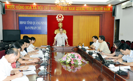 Đồng chí Nguyễn Đình Tuấn, Ủy viên BTV Tỉnh ủy, Trưởng Ban Pháp chế HĐND tỉnh phát biểu kết luận cuộc họp.