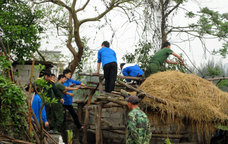 Đoàn viên thanh niên xã Đông Xá, huyện Vân Đồn đang tham gia di dời chuồng trại cho người dân.