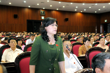 Hoạt động của Đoàn ĐBQH tỉnh Quảng Ninh tại kỳ họp thứ 3, Quốc hội Khóa XIII