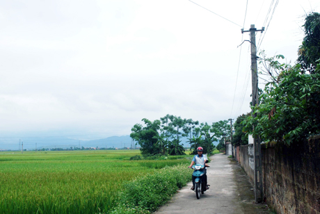 Một trong những con đường “Sáng - đẹp - an toàn” ở xã Nguyễn Huệ (Đông Triều).
