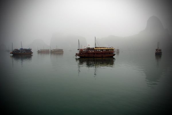 Tour boats moored in Ha Long Bay at dusk enjoy a serene seascape of limestone sculptures hewn by nature.This UNESCO World Heritage site is host to a diversity of ecosystems including sandy beaches, mangrove forests, and offshore coral reefs. Some of its roughly 1,600 islands and islets boast beautiful grottos with hidden ponds and unusual stone formations.