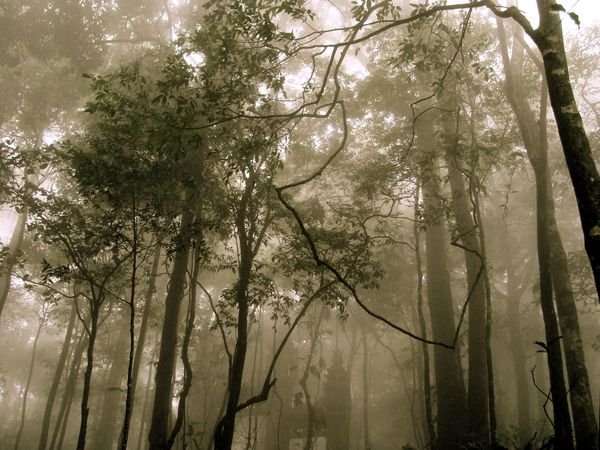 Ba Vi National Park, Hanoi