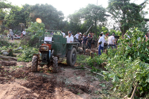 Người dân xã Xuân Quan thu dọn vườn cây cảnh sau vụ cưỡng chế sáng 24/4. Ảnh: Nguyễn Hưng.