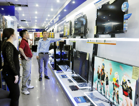 Khách hàng chọn mua ti vi tại cửa hàng của Công ty điện tử Thắng Bắc (số 419 – đường Lê Thánh Tông - TP Hạ Long).