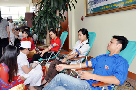 Đông đảo ĐVTN tham gia hiến máu tại Lễ phát động “Những giọt máu hồng” hè 2012 vừa được tổ chức tại TP Hạ Long, ngày 2-6-2012.
