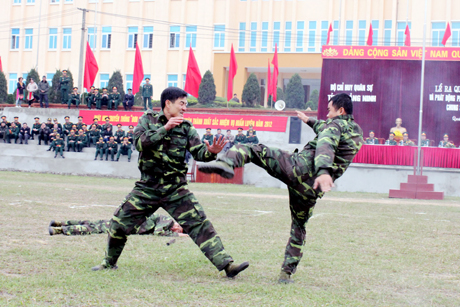 Các chiến sĩ trinh sát biểu diễn võ thuật tại Lễ ra quân huấn luyện năm 2012 ở Bộ CHQS tỉnh.