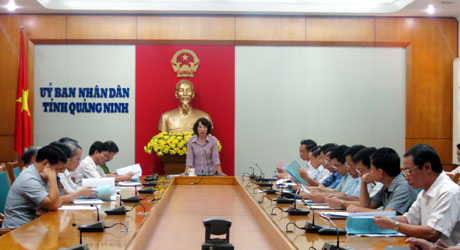 Đồng chí Vũ Thị Thu Thủy, Phó Chủ tịch UBND tỉnh kết luận cuộc họp.