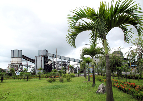 Trồng cây xanh trong khuôn viên Nhà máy Tuyển than Hòn Gai, góp phần tạo cảnh quan, bảo vệ môi trường.