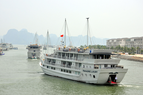 Tàu du lịch như những chú thiên nga tại cảng tàu du lịch quốc tế Tuần Châu.